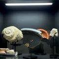 Nouvelle exposition : Aux sources de l’Aveyron et de la Serre